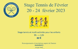 Stage Tennis Février